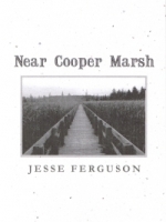 Near Cooper Marsh